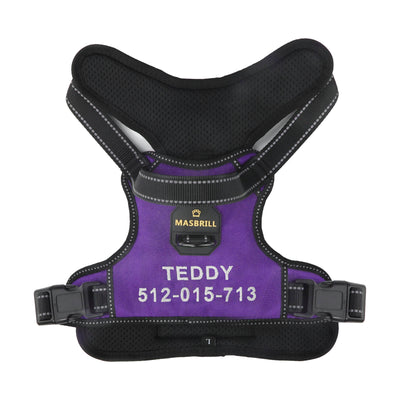 MASBRILL Custom Dog Harness with name