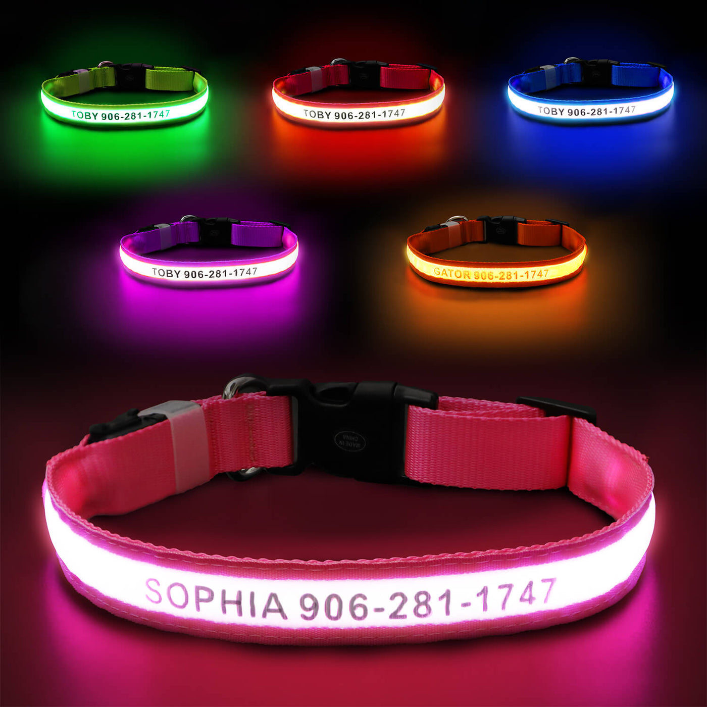 MASBRILL Custom LED dog collar with name