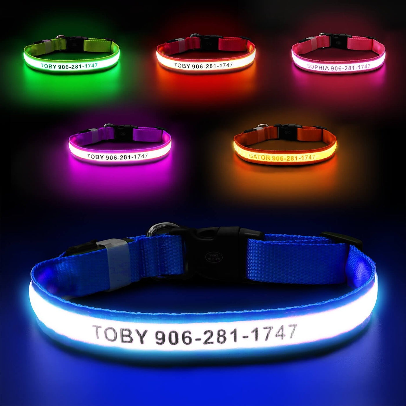 MASBRILL Custom LED dog collar with name