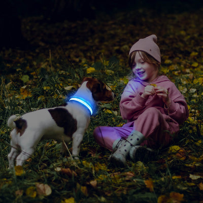 MASBRILL Custom LED dog collar with name