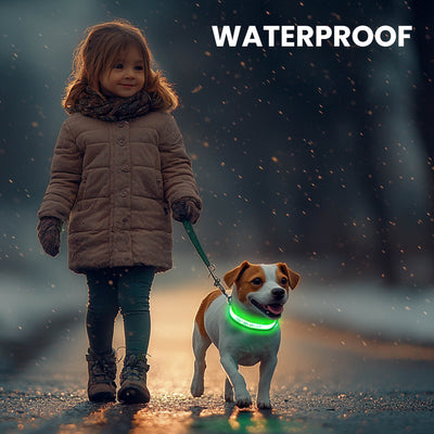 MASBRILL Custom LED dog collar with name