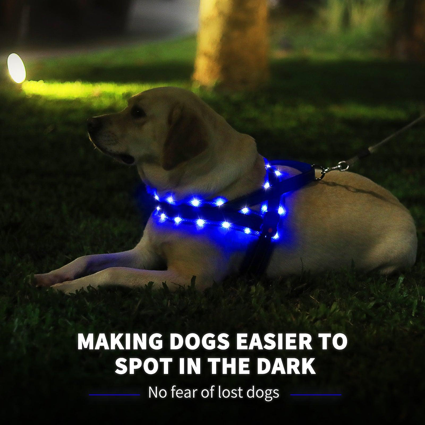 MASBRILL Custom made LED dog harnesses