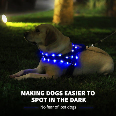MASBRILL Custom made LED dog harnesses