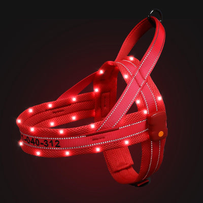 MASBRILL Custom made LED dog harnesses