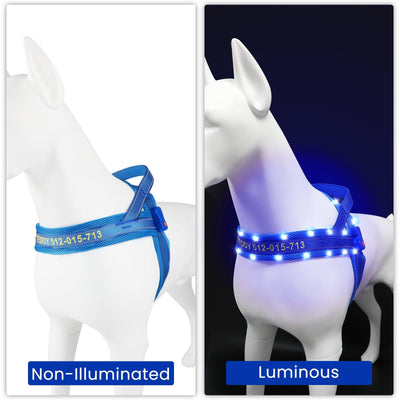 MASBRILL Custom made LED dog harnesses