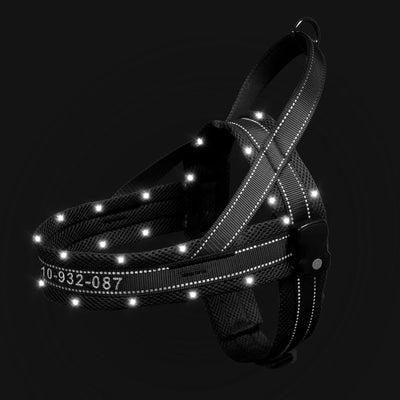 MASBRILL Custom made LED dog harnesses
