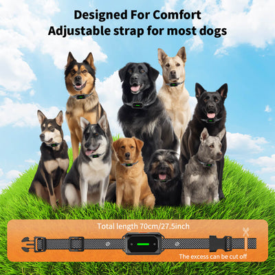Masbrill Dog Shock Collar 2600FT with LED Light for Night Walks -TZ943