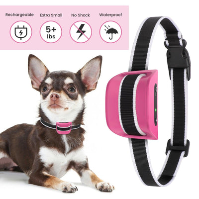 MASBRILL Multifunctional Small Dog Bark Collar-DC651