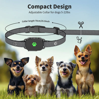 MASBRILL No Shock Small Dogs Training Collar With Remote – 2500FT RANGE - 927