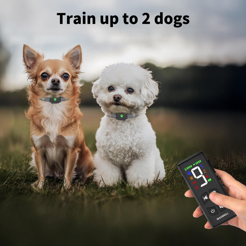 MASBRILL No Shock Small Dogs Training Collar With Remote – 2500FT RANGE - 927