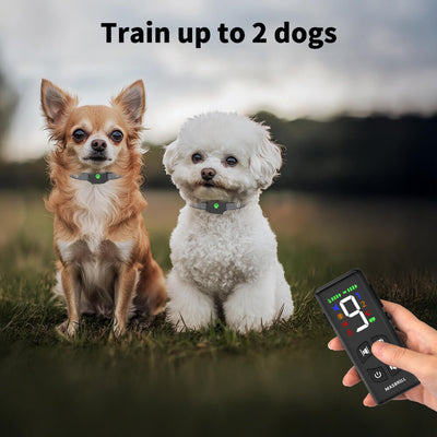 MASBRILL No Shock Small Dogs Training Collar With Remote – 2500FT RANGE - 927