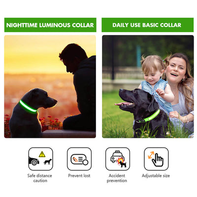 MASBRILL Rechargeable Waterproof Light-Up Dog Collar
