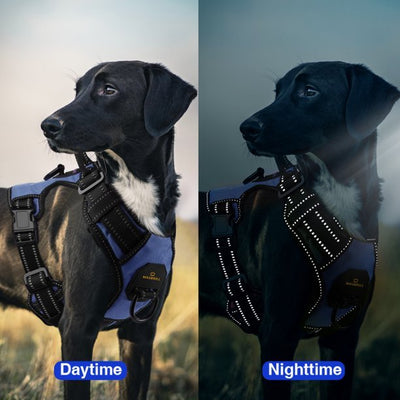 MASBRILL Reflective Dog Harness No Pull with Handle