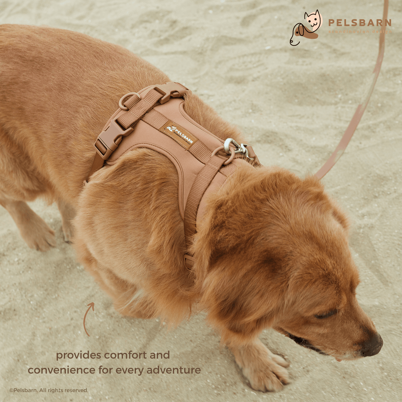 Pelsbarn No-Pull Harness Walk Kit