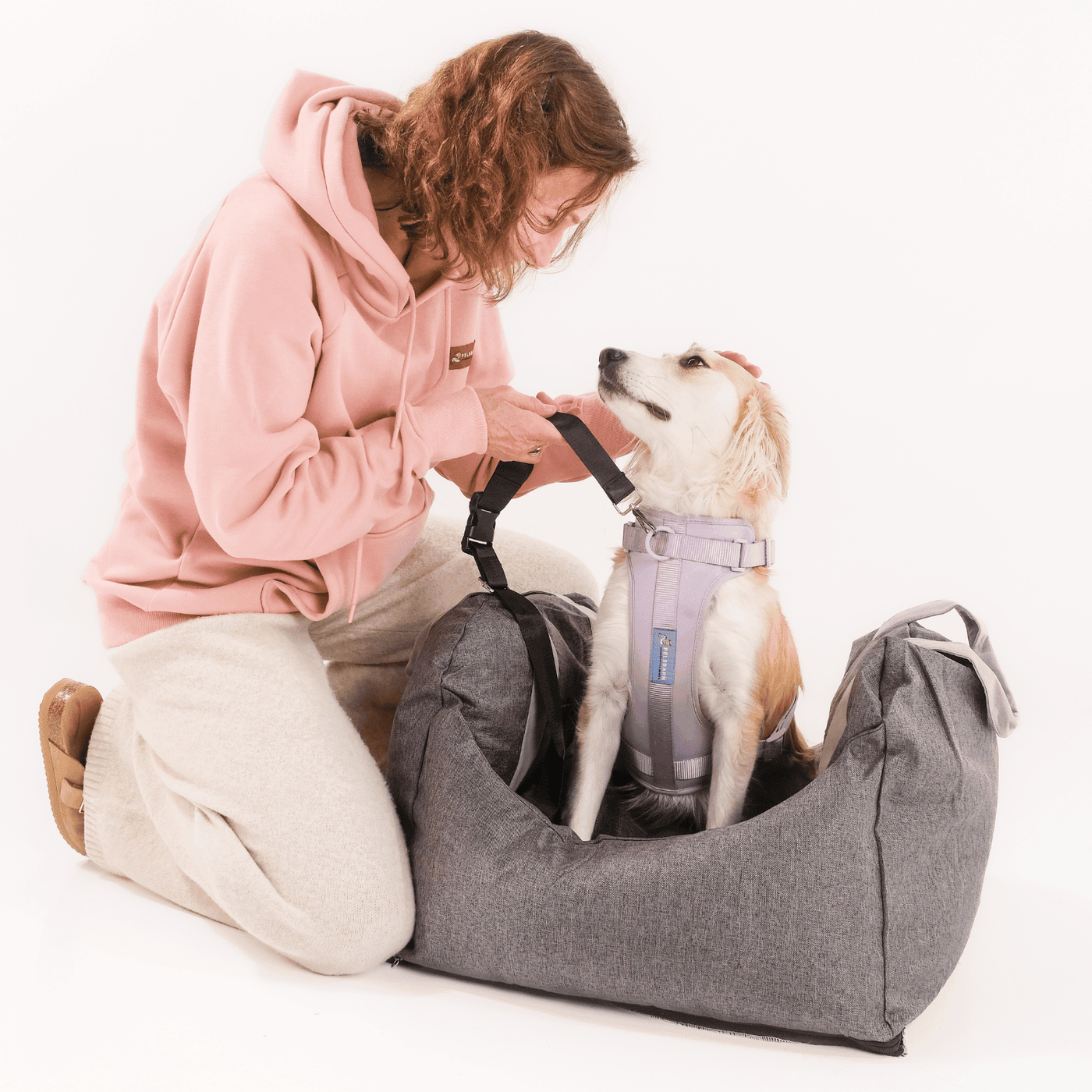Luxurious Dog Car Bed