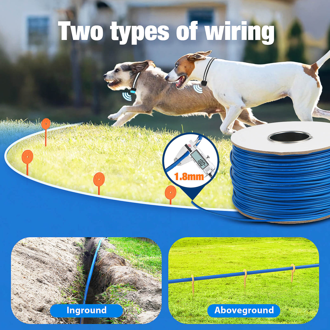 MASBRILL Underground Electric Dog Fence – 4 Dog System- TZ862