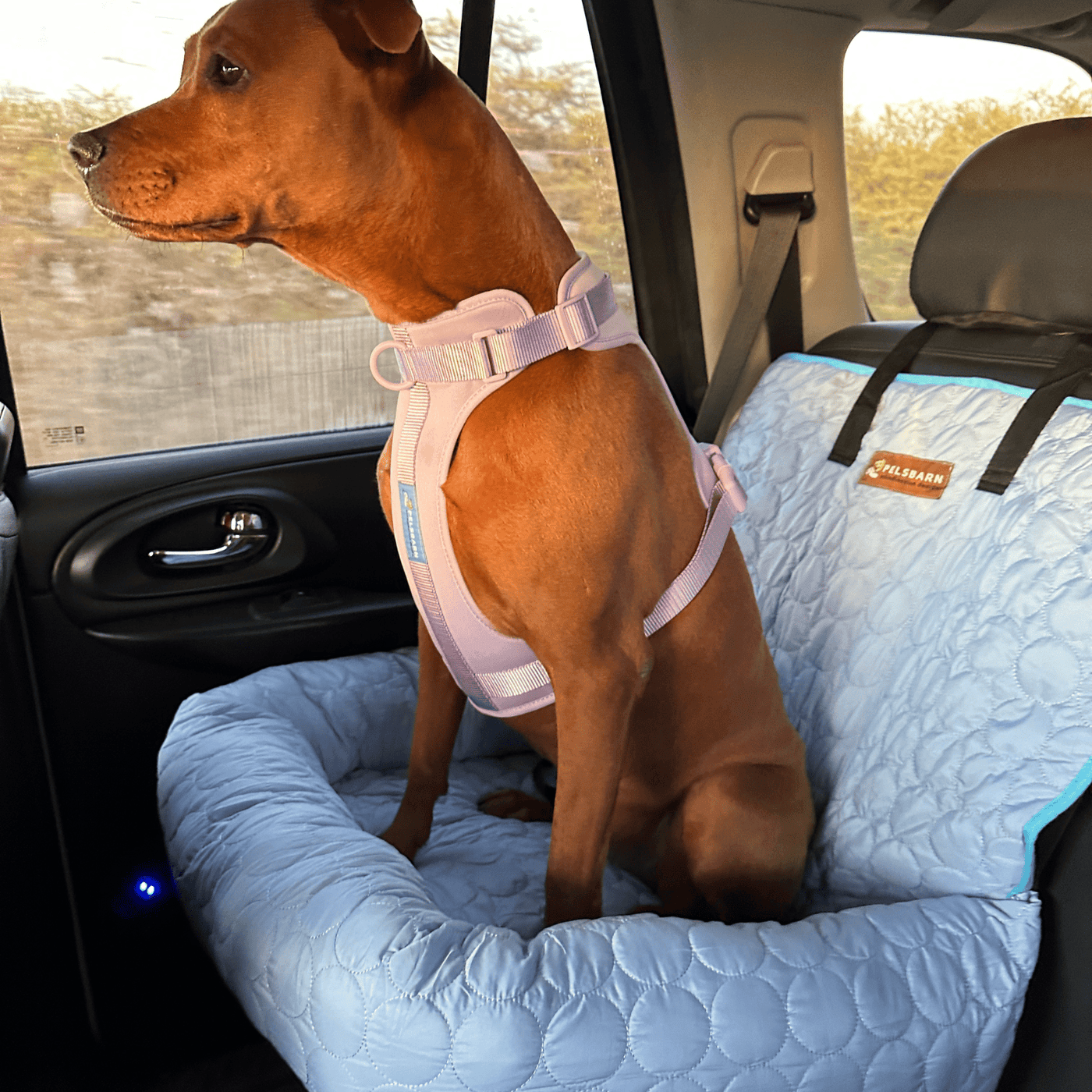 Pelsbarn Cooling Car Bed